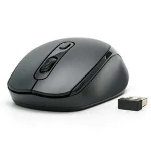 MOUSE